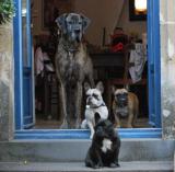 Conference de filles