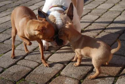 Maman veille sur moi!